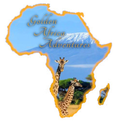 Golden Africa Adventures Logo